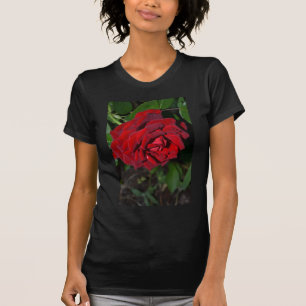 T-shirts Aumentou em vermelho escuro
