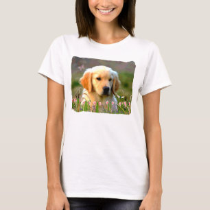 T-shirts Austin o Labrador dourado