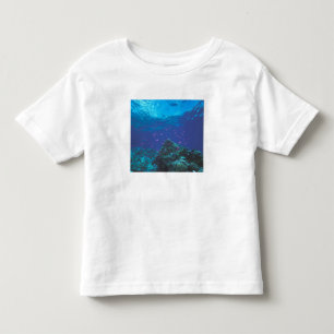T-shirts Austrália, Grande Barreira de Coral. Enxameando Ro