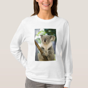 T-shirts Austrália, Queensland, Brisbane, Fig Tree