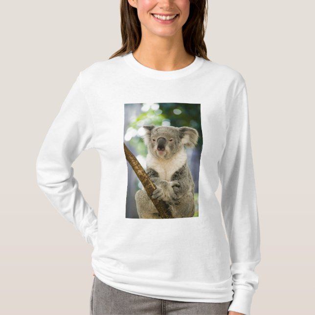 T-shirts Austrália, Queensland, Brisbane, Fig Tree (Frente)