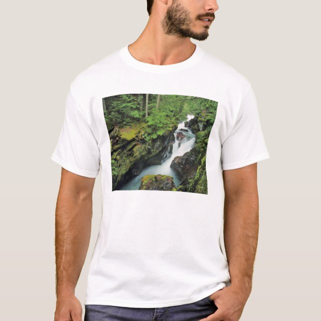 T-shirts Avalanche Gorge no Parque Nacional de Glacier em (Frente)