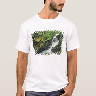 T-shirts Avalanche Gorge no Parque Nacional de Glacier em