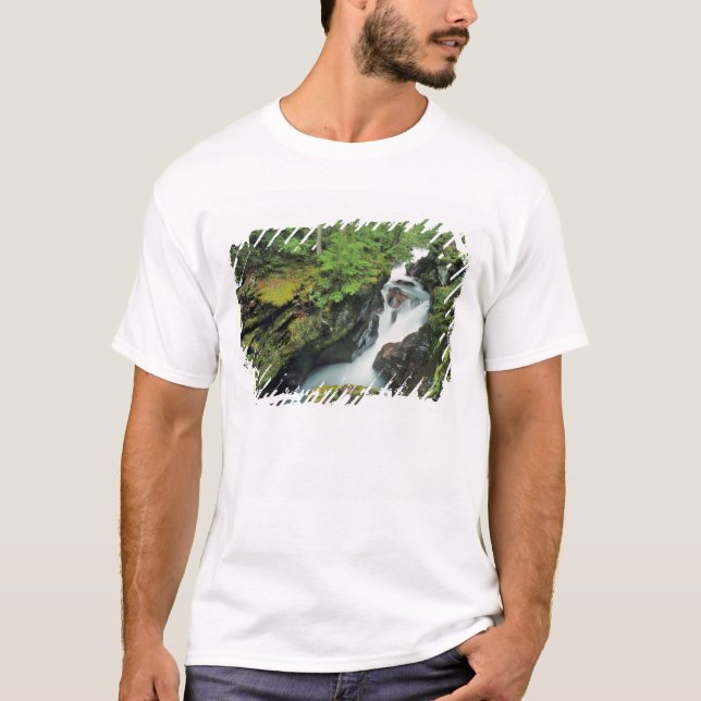 T-shirts Avalanche Gorge no Parque Nacional de Glacier em (Frente)