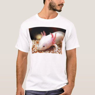 T-shirts Axolotl Weißling