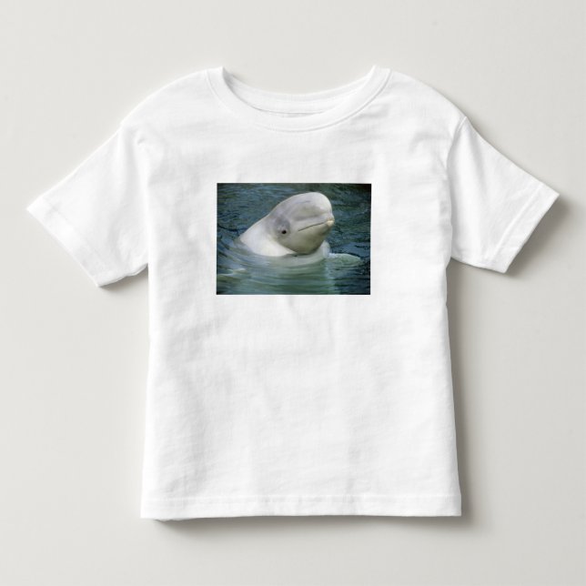 T-shirts Baleia Beluga, Delphinapterus leucas) (Frente)