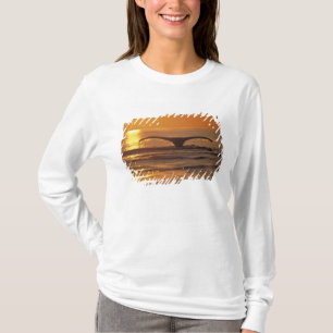 T-shirts Baleia-jubarte