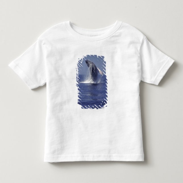 T-shirts Baleia-jubarte saltando (Megaptera (Frente)