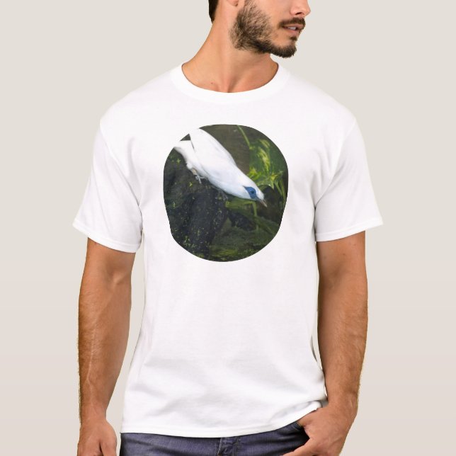 T-shirts Bali Myna (Frente)