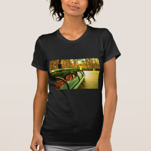T-shirts Banco no Central Park, Nova York