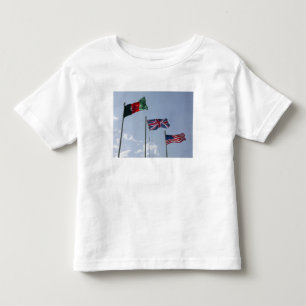 T-shirts Bandeira BRITÂNICA entre o afegão e bandeiras do