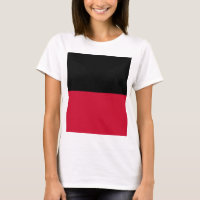 Bandeira de Nijmegen