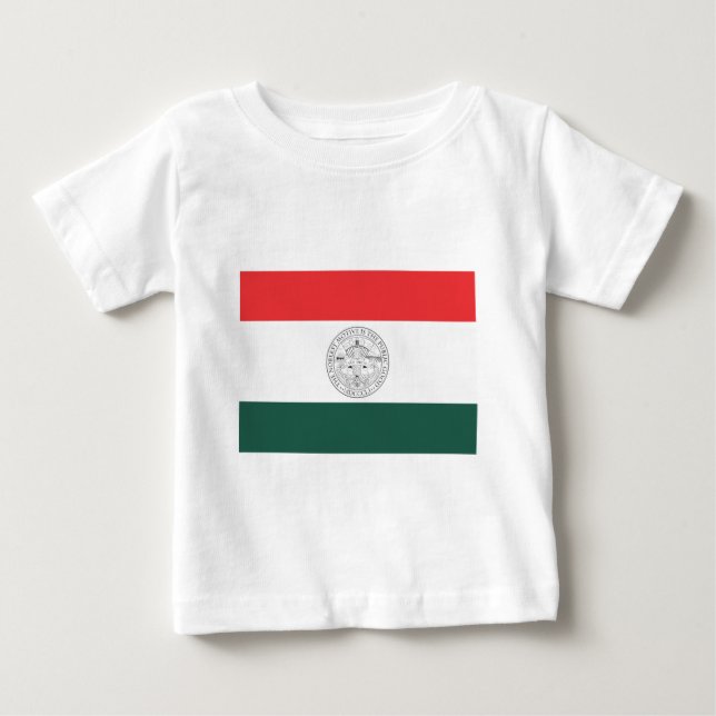 T-shirts Bandeira de San Diego (Frente)