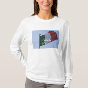 T-shirts Bandeira Irlandesa