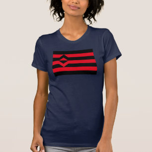 T-SHIRTS BANDERA DE ORGULHO DO PUNHO