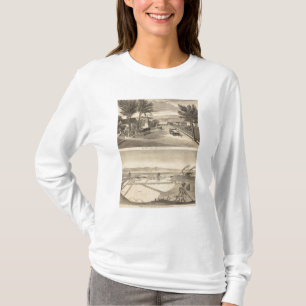 T-shirts Barba res, trabalhos de sal de Alvarado
