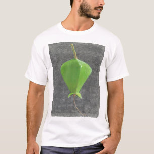 T-shirts Barringtonia Acutangula