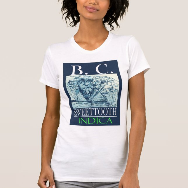 T-SHIRTS BC DOCE INDICA (Frente)