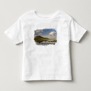 T-shirts Bear Butte se reflete no Bear Butte Lake perto