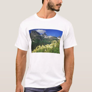 T-shirts Beargrass no Logan Pass no Parque Nacional Glacier
