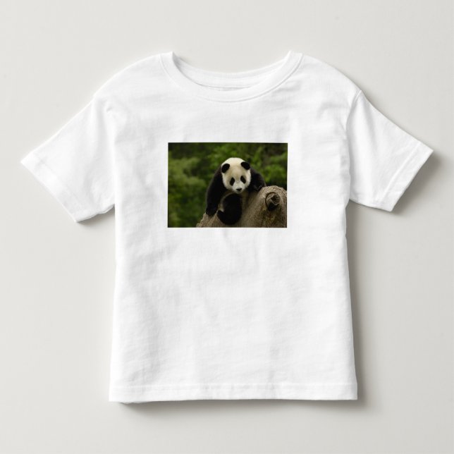 T-shirts bebê de panda gigante (Frente)