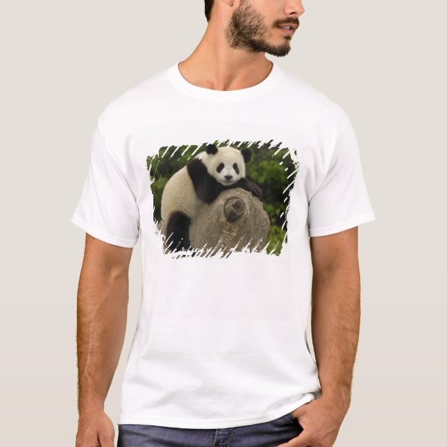 T-shirts bebê de panda gigante (Frente)