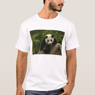 T-shirts Bebê de panda gigante