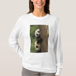 T-shirts bebês de panda gigante (Ailuropoda melanoleuca)