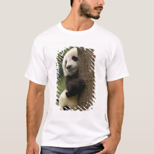 T-shirts bebês de panda gigante (Ailuropoda melanoleuca)