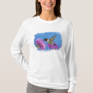 T-shirts Beija-flor-de-garganta-rubí