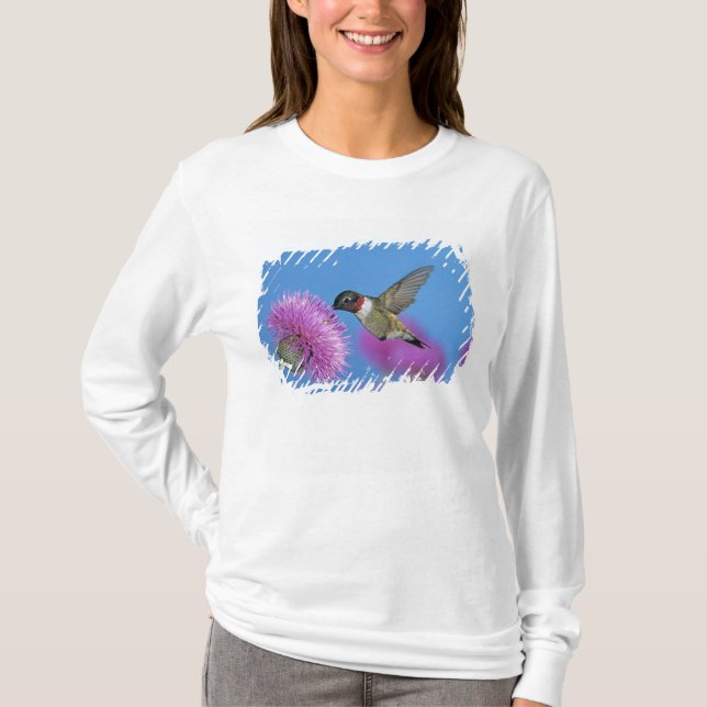 T-shirts Beija-flor-de-garganta-rubí (Frente)