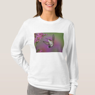 T-shirts Beija-flor-macho juvenil de garganta rubi