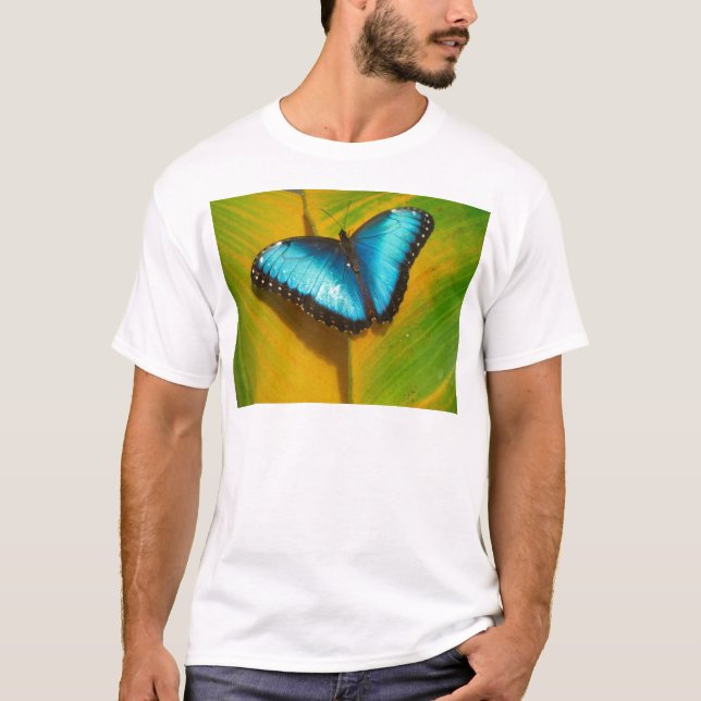 T-shirts Bela Borboleta Iridescente (Frente)