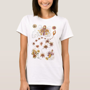 T-shirts Belas artes de Siphonophorae Ernst Haeckel
