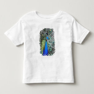 T-shirts Belíssimo pavão espalhando penas coloridas