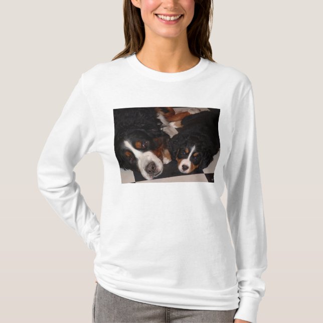 T-shirts Bernese Mountain Dogs Cabeça em T_Shirt (Frente)