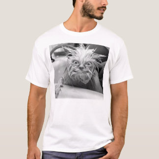 T-SHIRTS BICHO PELUDO