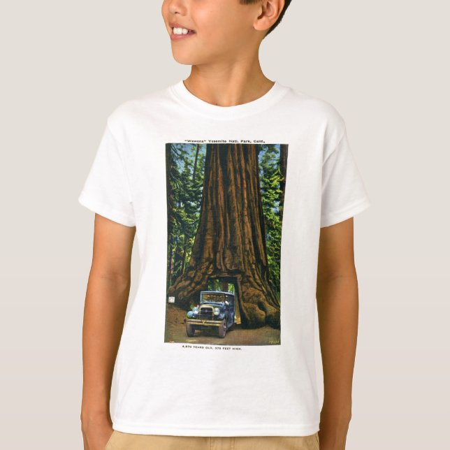T-shirts Big Tree Wawona, Mariposa Grove, CA (Frente)
