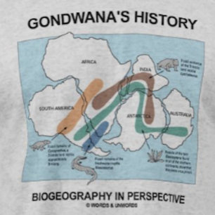 T-shirts Biogeografia histórica de Gondwana em perspectiva