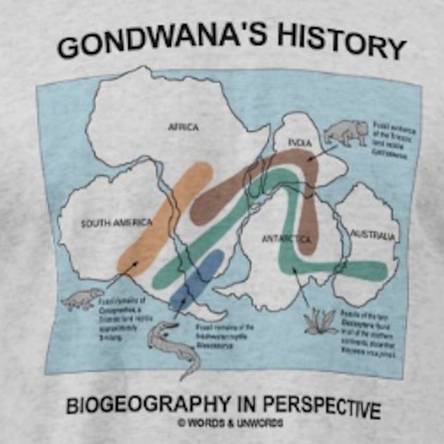 T-shirts Biogeografia histórica de Gondwana em perspectiva (Biogeographers and historians will enjoy this "Gondwana's History Biogeography In Perspective" tee)