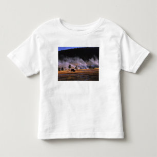 T-shirts Bisões pastando na Bacia do Géiser Superior
