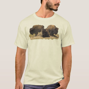 T-shirts Bisonte