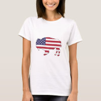 Bisonte - bandeira americana