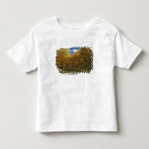 T-shirts Blue Ridge Parkway curvando através das cores de o