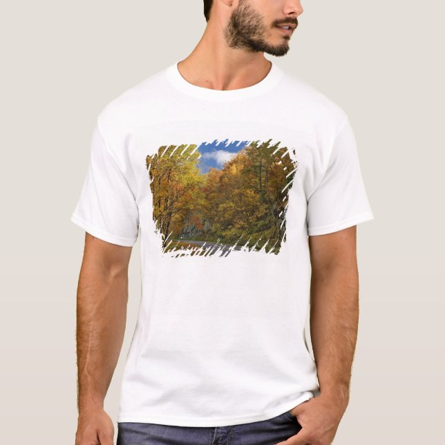 T-shirts Blue Ridge Parkway curvando através das cores de o (Frente)