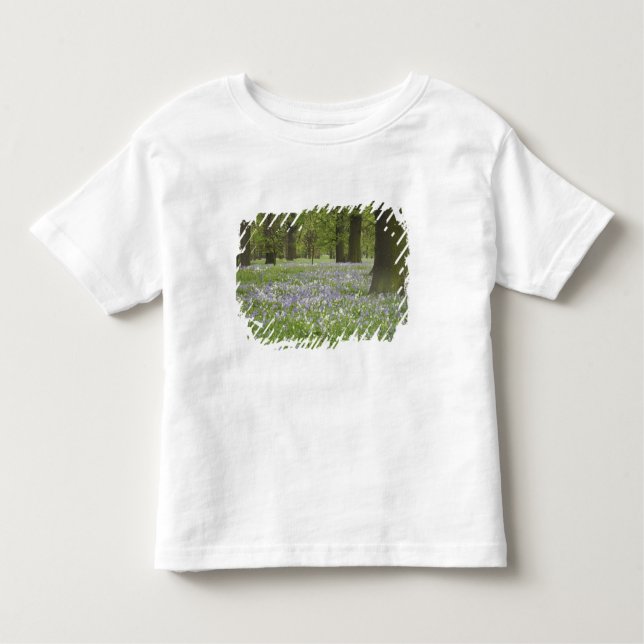 T-shirts Bluebells and Oak Trees in Primavera, Little Hagle (Frente)