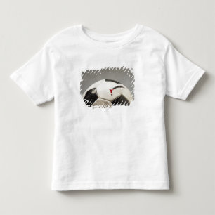 T-shirts Bola de futebol 3