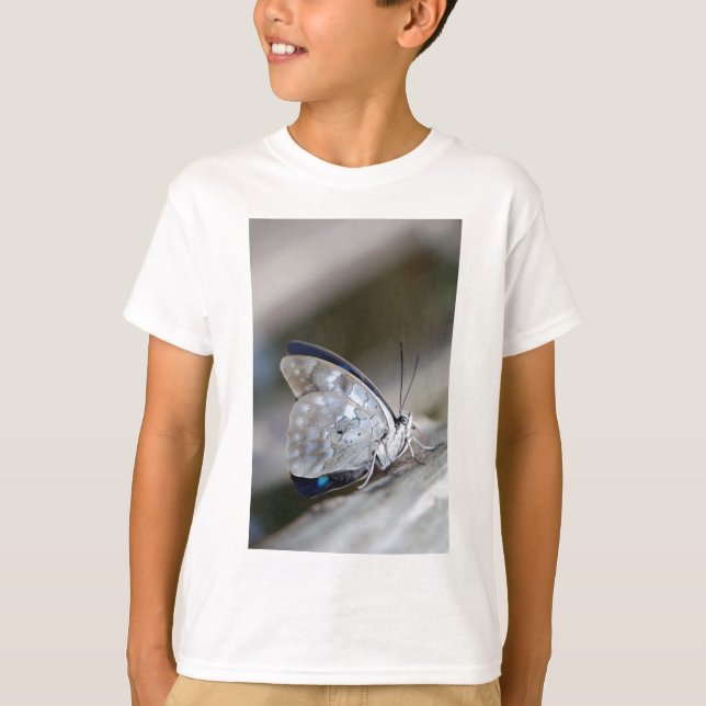 T-shirts Borboleta Cinza Azul (Frente)