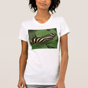 T-shirts Borboleta de Zebra Longwing T Shirt