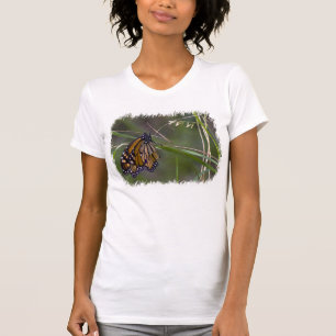 T-shirts Borboleta Monarch na Borda Branca de Grass